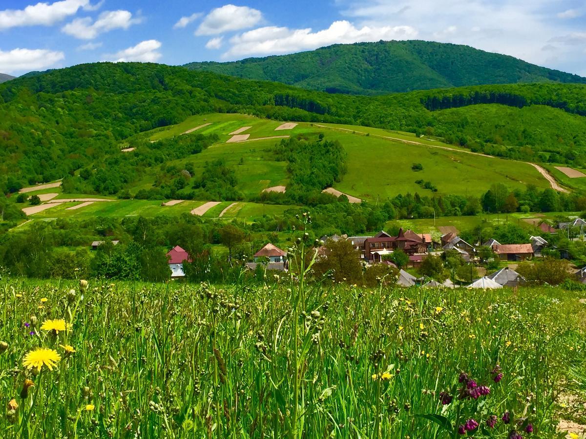 Minihotel Zolotoe Runo Ploskoye 外观 照片